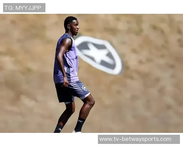 中超外援身价榜揭晓盖伊250万欧并列第八热菲尼奥450万欧居首