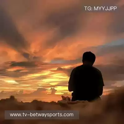 农凤晶